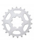 PIGNON 11V. MICHE POUR CAMPAGNOLO 22D.