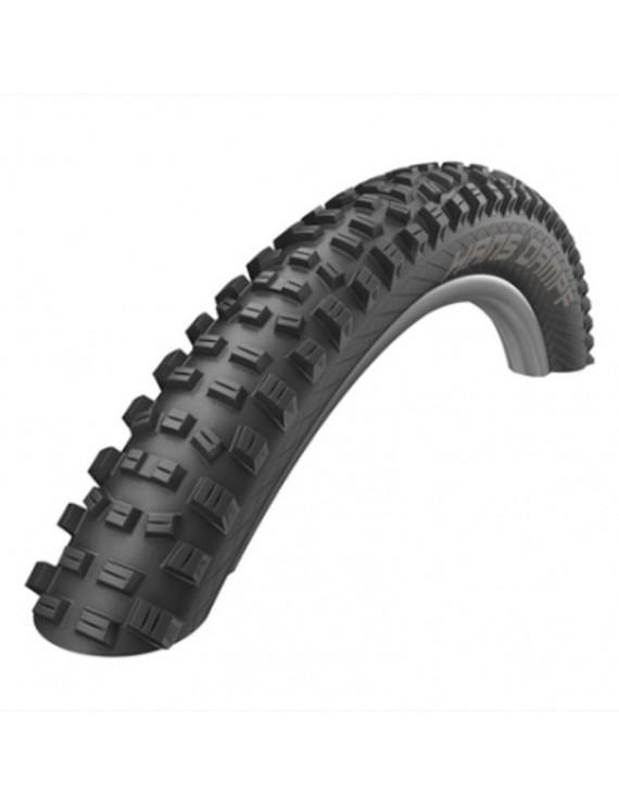 PNEU VTT GRAVITY 29 X 2.35 SCHWALBE HANS DAMPF ADDIX PERFORMANCE NOIR TS TUBELESS-TUBETYPE (60-622)