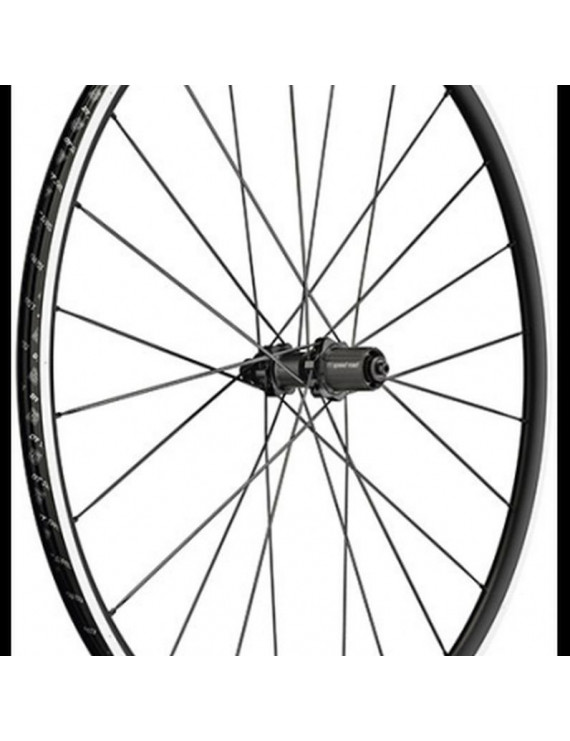 ROUE ROUTE 700 DT SWISS P1800-23 PERFORMANCE ARRIERE CASSETTE SHIMANO-SRAM 11-10V. NOIR A PNEU (HAUTEUR JANTE 23mm)