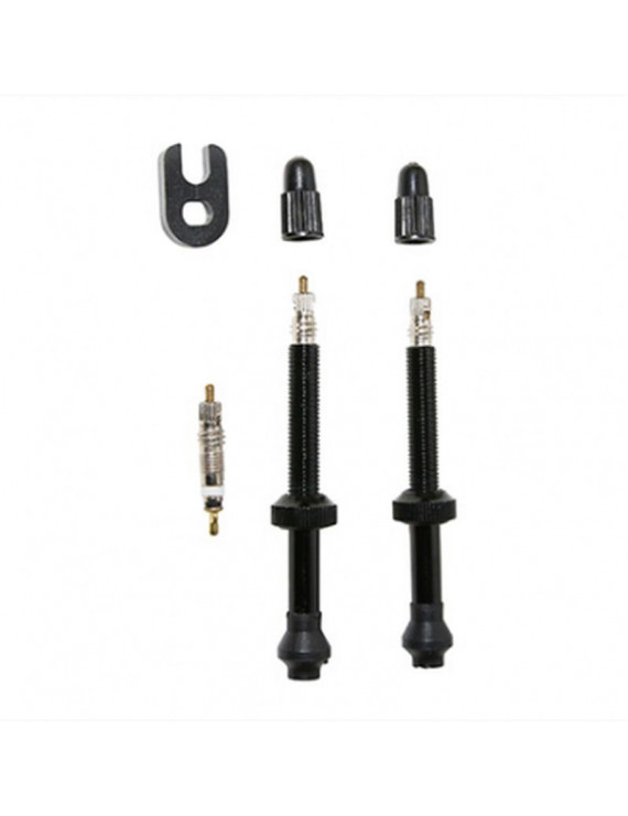 VALVE DE PNEU VTT SELECTION P2R TUBELESS COLORI NOIR 60mm PRESTA (LA PAIRE)