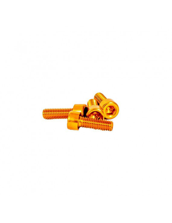 VIS DE PORTE BIDON GOLD (BOITE DE 2)