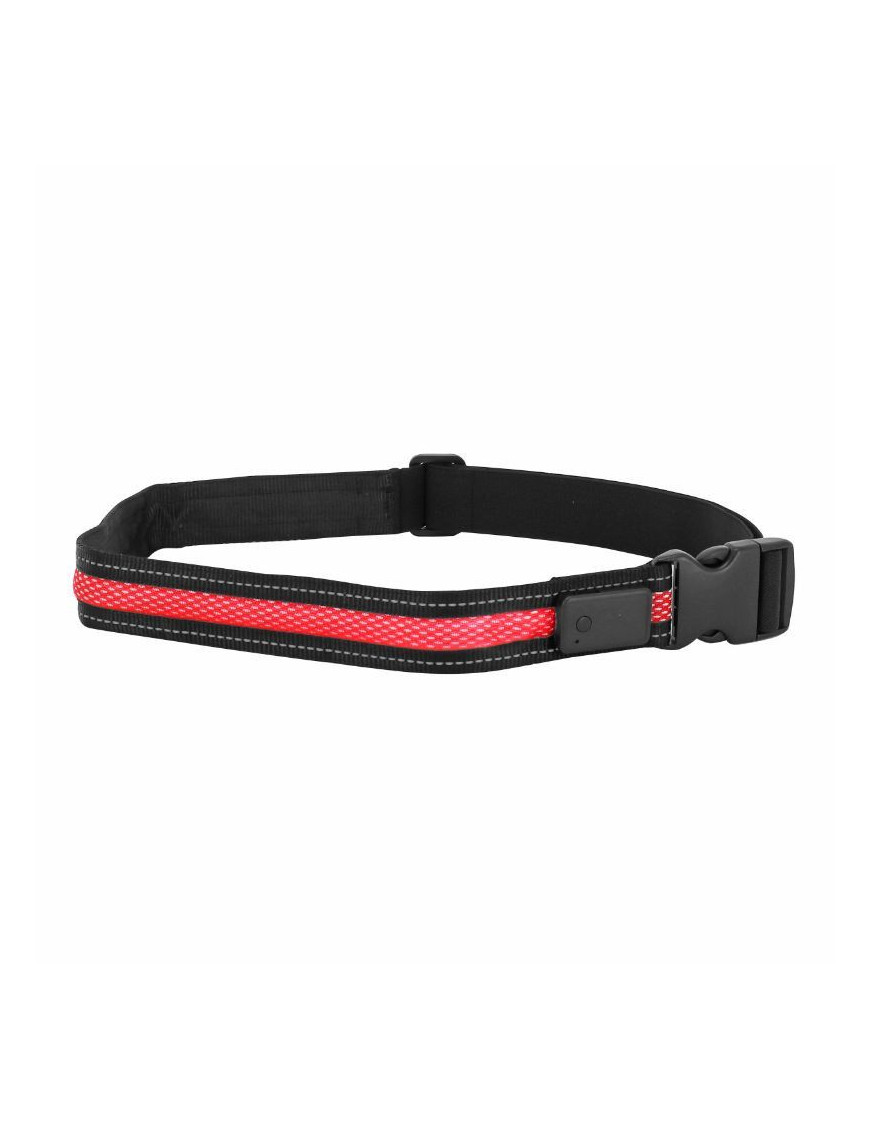 CEINTURE ECLAIRAGE VELO USB AVEC TELECOMMANDE 2 MODES FLASH ET CONTINU - PERMET D'ETRE VU