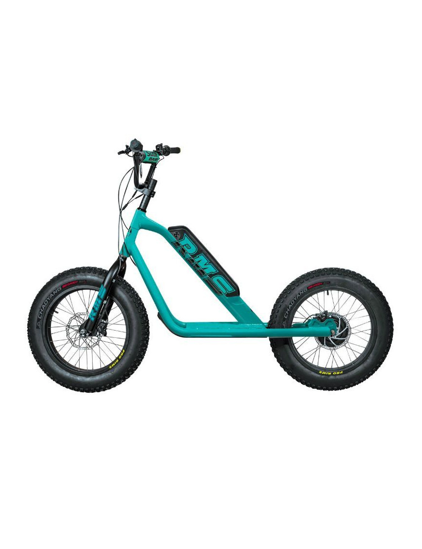 TROTTINETTE ELECTRIQUE RMS BIKE 20F-X VERT D'EAU RAL 5021 MOTEUR 500 W HOMOLOGUE NF EN 1476 (DIM 1,78x0,83x1,18 M)  -MADE IN FR