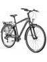 VELO MUSCULAIRE CITY BIKE 28 LEADER FOX FERRARA 2023 HOMME GRIS 8V (19'' - H48cm - TAILLE L - POUR ADULTE DE 178cm à 185cm)