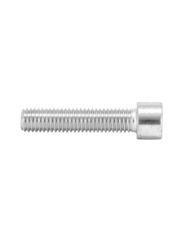 VIS CHC 6 PANS CREUX M10 x 55 mm CHROME (SACHET DE 10 PIECES)  -SELECTION P2R-