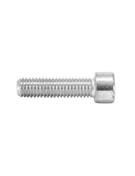 VIS CHC 6 PANS CREUX M8 x 10 mm CHROME (SACHET DE 12 PIECES)  -SELECTION P2R-