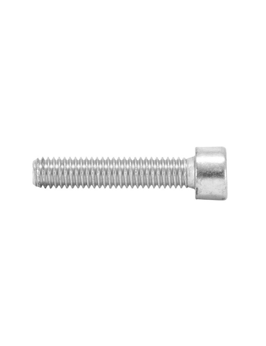 VIS CHC 6 PANS CREUX M6 x 40 mm CHROME (SACHET DE 10 PIECES)  -SELECTION P2R-