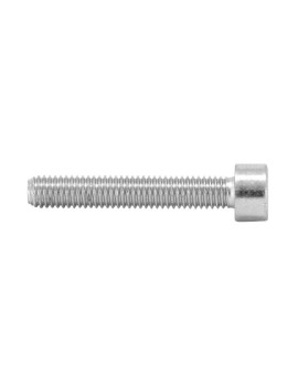 VIS CHC 6 PANS CREUX M5 x 12 mm CHROME (SACHET DE 25 PIECES)  -SELECTION P2R-