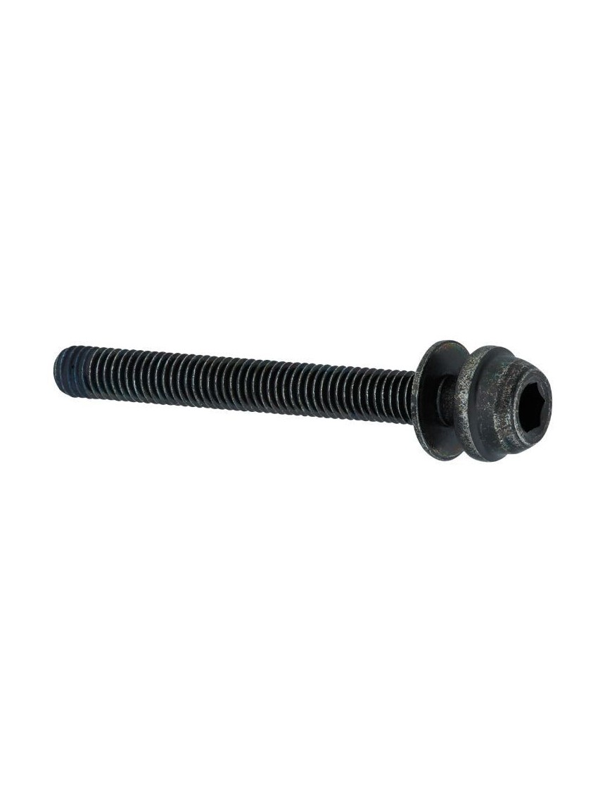 VIS POUR FREIN DISQUE ROUTE SHIMANO FLATMOUNT 35mm (VENDU A L'UNITE)