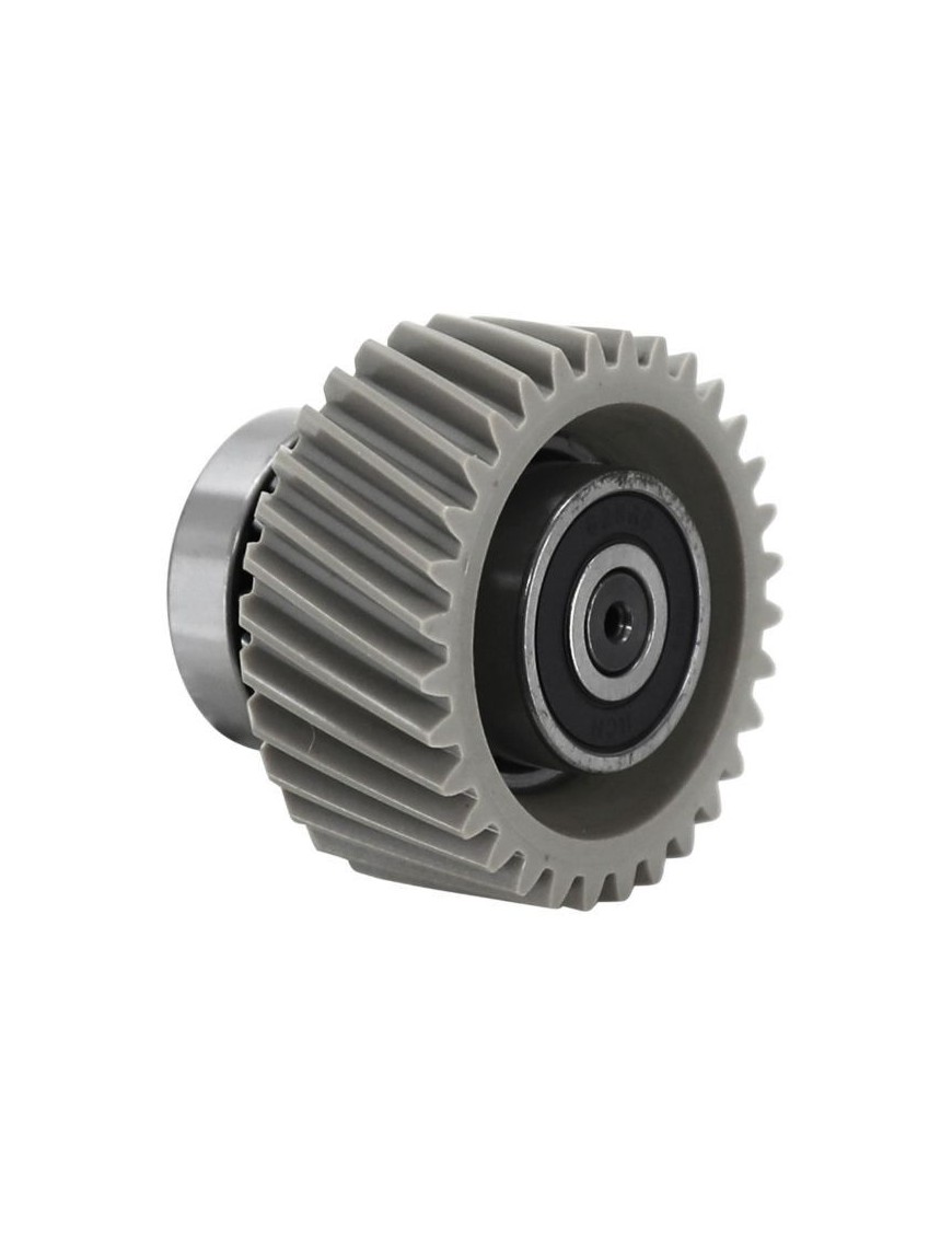 PIGNON NYLON BAFANG POUR MOTEUR M510 (DONT LEADER FOX)