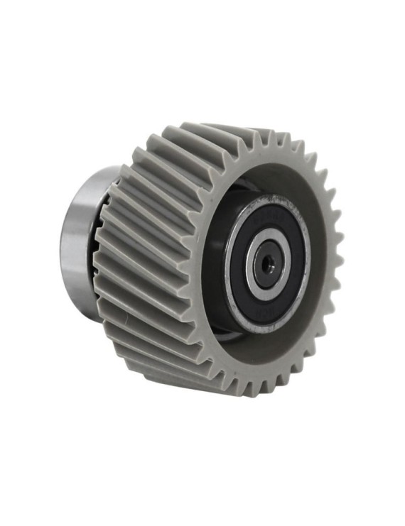 PIGNON NYLON BAFANG POUR MOTEUR M510 (DONT LEADER FOX)