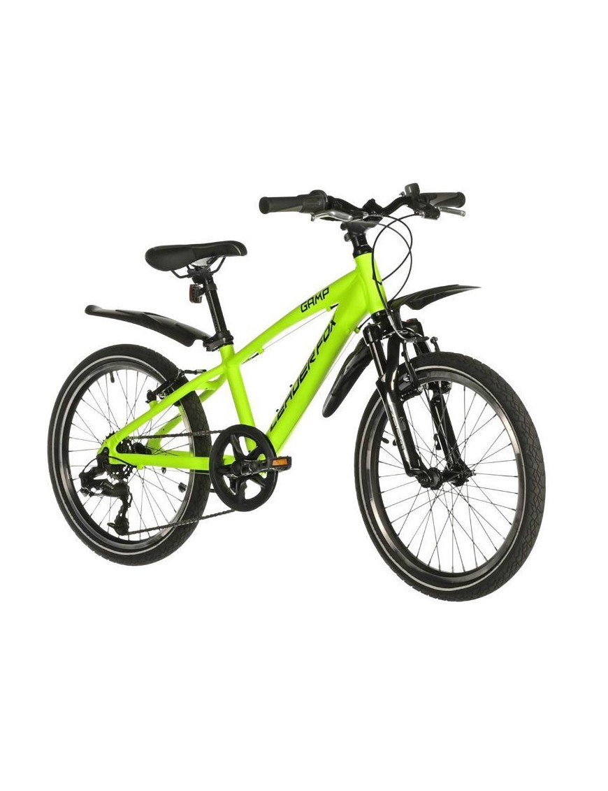 VELO MUSCULAIRE VTT 20 LEADER FOX GAMP 2024 GARCON JAUNE FLUO MAT 6V (TAILLE ENFANT 120 à 135 cm)