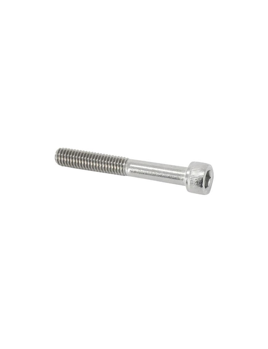 VIS POTENCE ERGOTEC INOX SILVER M6 X 45mm (OCTOPUS 50 XL 31,8)