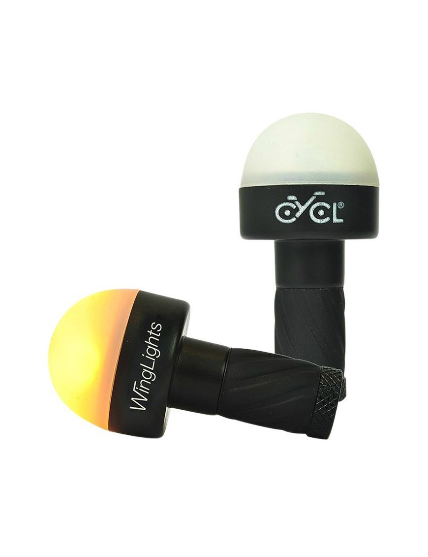 ECLAIRAGE CLIGNOTANT EMBOUT DE CINTRE NOIR A PILES CR2032 (PAIRE)