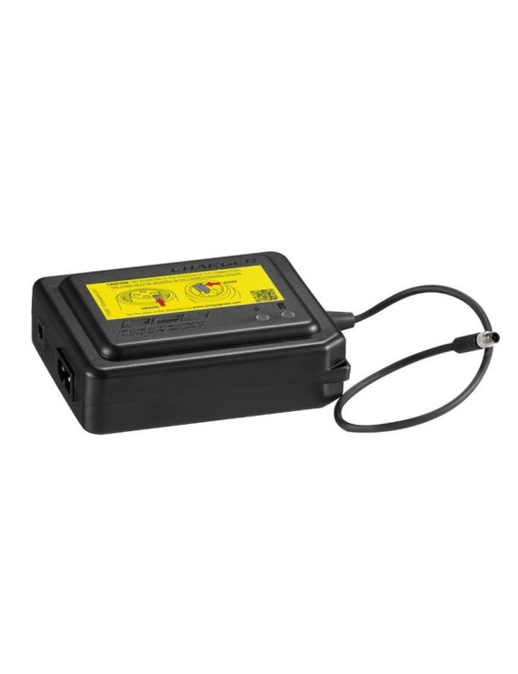CHARGEUR CAMPAGNOLO POUR BATTERIE EPS DANS TIGE DE SELLE