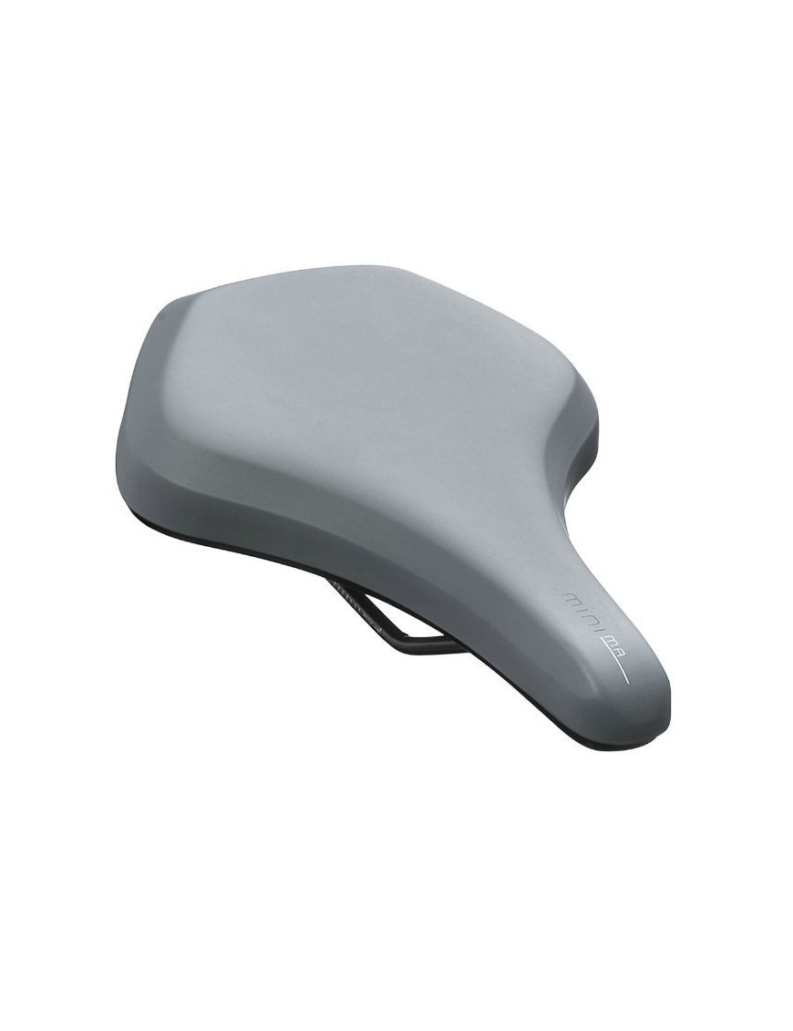 SELLE NEWTON CITY ROY MINIMA GRIS 262x190mm RAIL ACIER