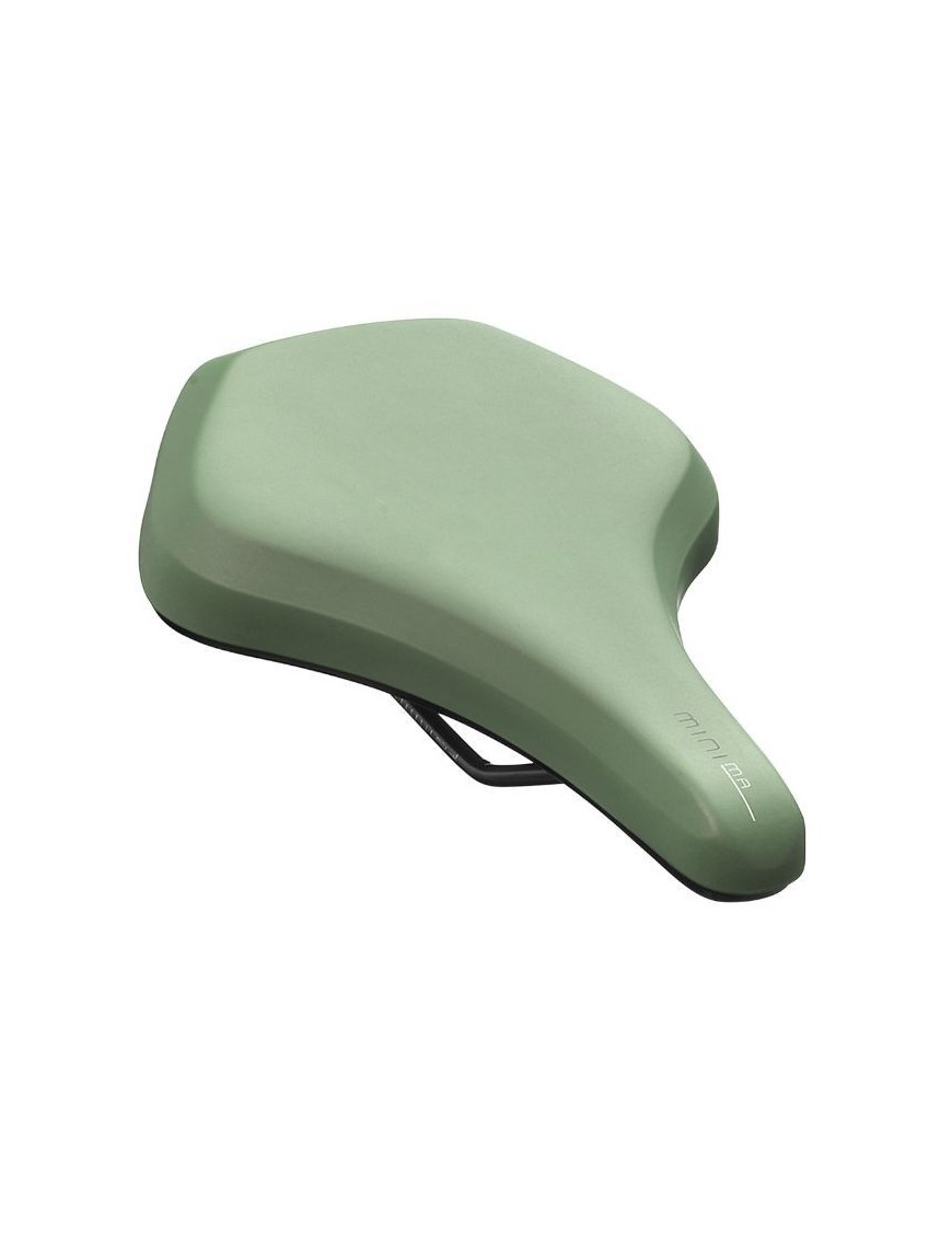 SELLE NEWTON CITY ROY MINIMA VERT 262x190mm RAIL ACIER