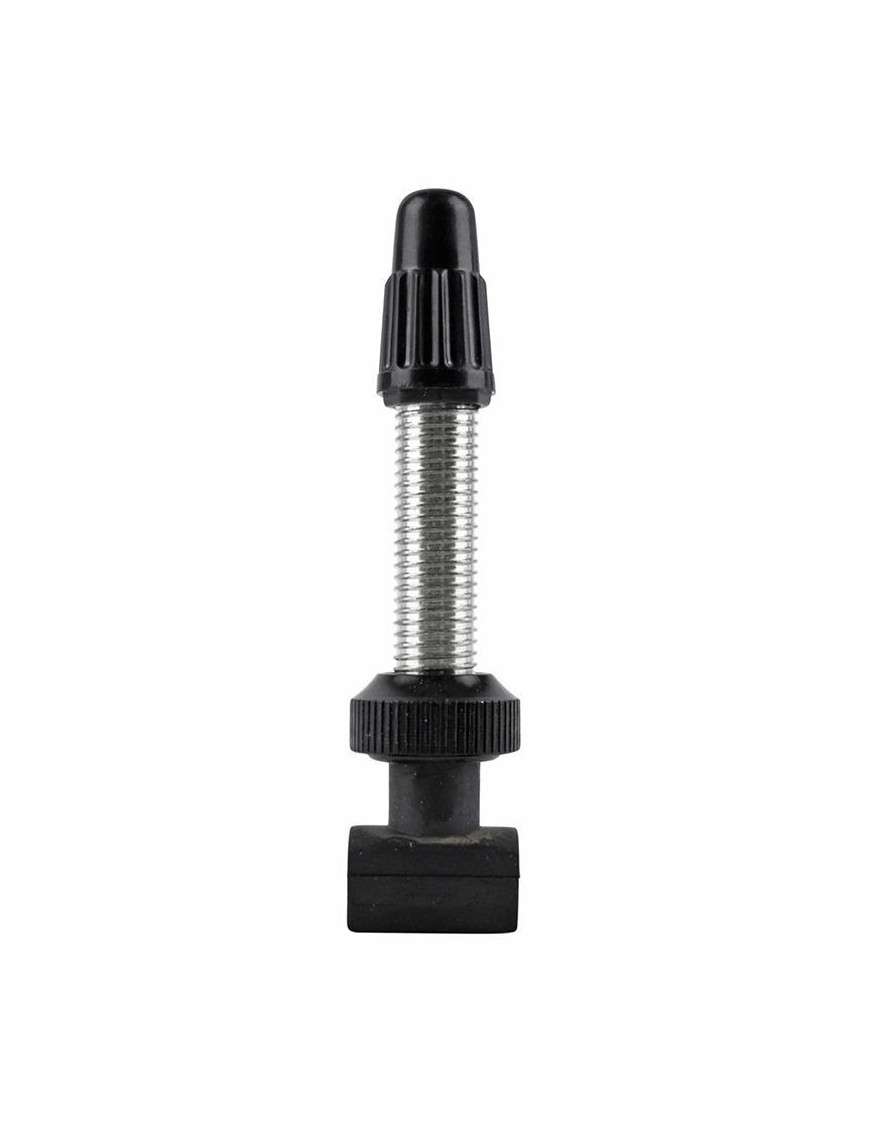 VALVE DE PNEU TUBELESS PRESTA DT SWISS VTT 32 mm ALU ARGENT OBUS DEMONTABLE (VENDU A L'UNITE)