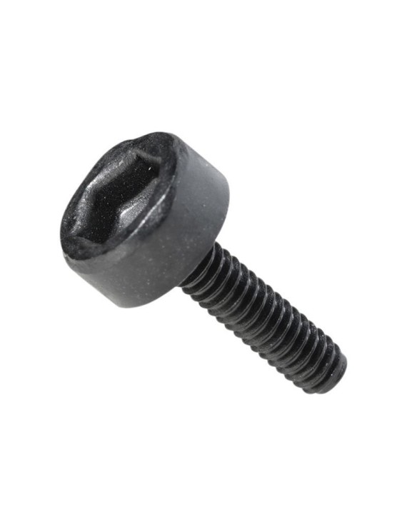 VIS POUR SUPPORT BOSCH INTUVIA 100 (M2x7)